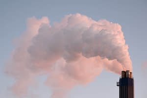Where should the world store CO2